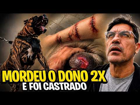 He threatened to kill Haru or cut off his testicles | Cane Club Kennel