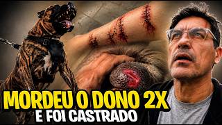 ME AMEAÇOU QUE IA M4T4R O HARU OU CORTAR O SACO DELE | CANE CLUB KENNEL