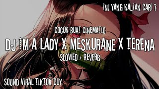 DJ OLD IM A LADY x MESKURANE x TERENA (Slowed   Reverb)
