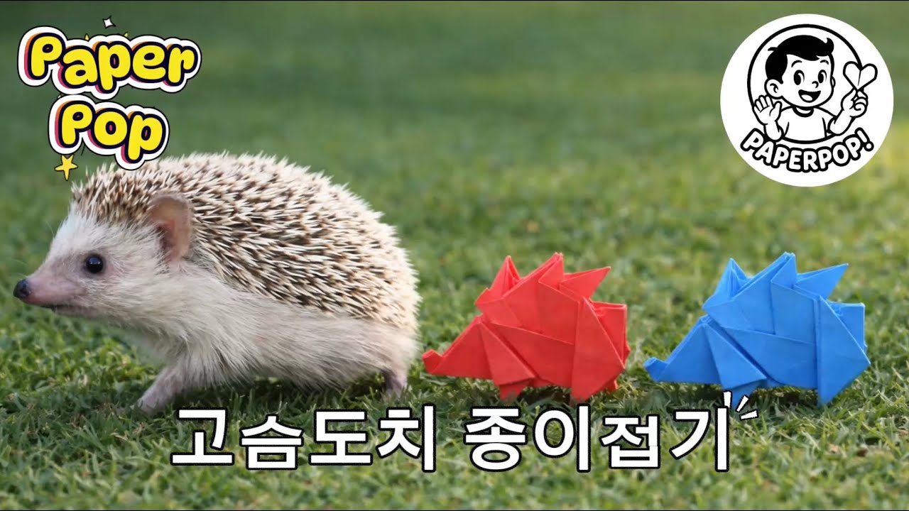 고슴도치 hedgehog 종이접기
