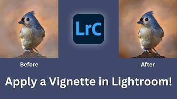 3 Ways to Apply a VIGNETTE in Lightroom Classic l NPF Photography