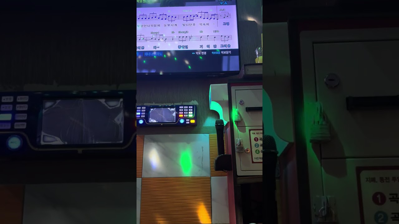 야생화-(박효신)