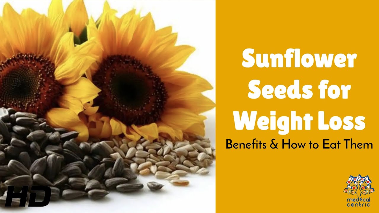 echinacea seeds bulk Echinacea Seeds Pack