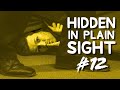 Can You Find Him in This Video? • Hidden in Plain Sight #12