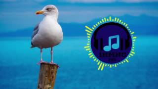 Download Lagu Jingle Punks - Don't Hate Me [Pop] Loop MP3