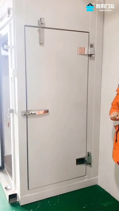 Cold Room Flush Door Hydraulic Door Closer #coldroomdoor