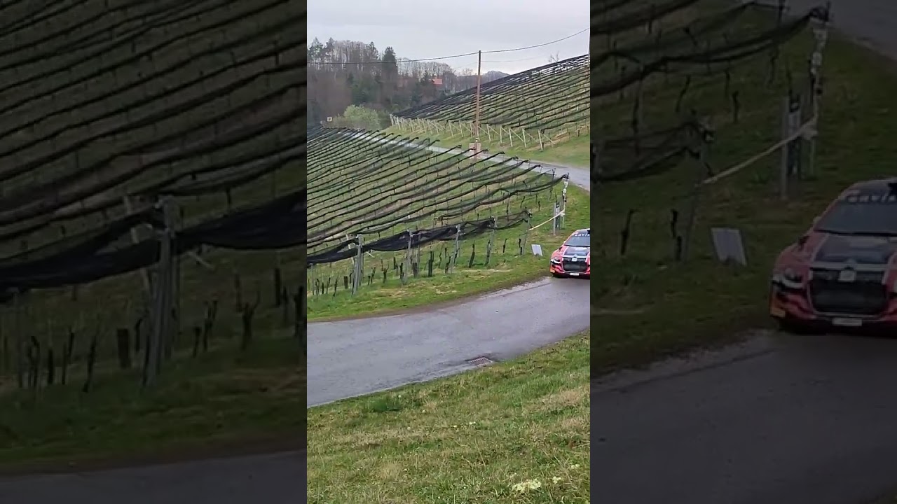 Luca Waldherr SP 8 Rebenland Rallye 2024