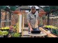 What I'm sowing in February ~ the most exciting month of the year