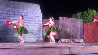 ハワイで本物のフラダンスを見た4