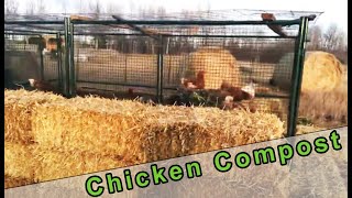 Basic Chicken Compost System Using Large Kennel and Straw Bales
