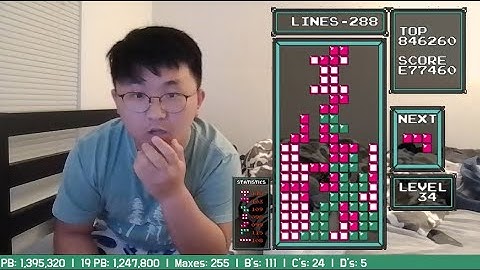 My First 1.4 Million in NES Tetris