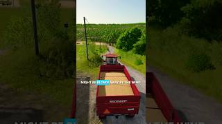 Some Mustard Might Be Lost #fs25 #thepichonnierevalley #farming #mustard #fiatagri #fs25gameplay