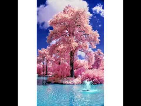 اغنية تركية اذربيجانية يا صغيرتي    