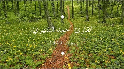 تلاوة خاشعة من سورة يونس القارئ أحمد الشهري