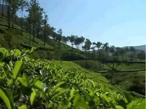 نامي بسلام NOUR BAHLAWAN 2012 نور بهلاوان 