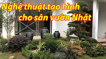 Hồ Cá Koi Đẹp: Nghệ thuật tạo hình cho phong cách khu vườn Nhật