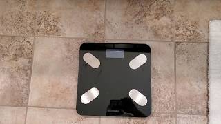 Weight Guru Smart Scale Review