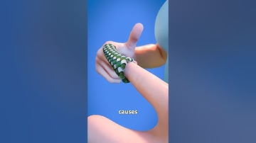 How Chinese Finger Traps Work 🤔