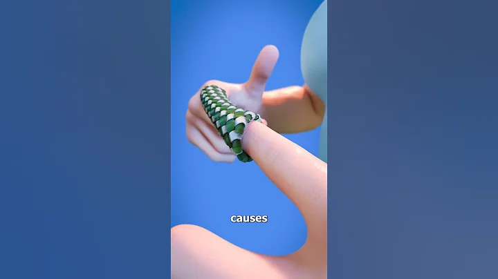 How Chinese Finger Traps Work 🤔