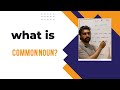 What is common noun |what is noun|basic grammar
