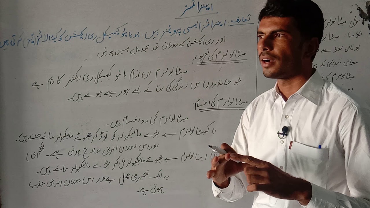 chapter 6 Enzymes 9th urdu medium YouTube