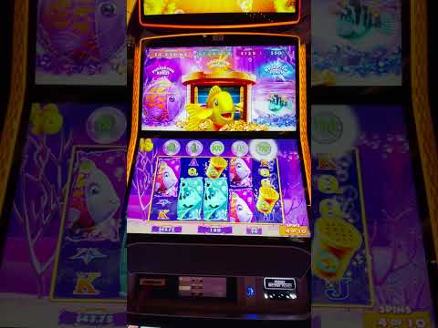 SILVER SEVENS Casino Slots - ✅ Las Vegas LIVE Cash or Crash BUFFALO Sun and Moon