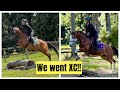 It's finally coming together! XC lessons with young horses // Vlog #12 (JT2☆E )
