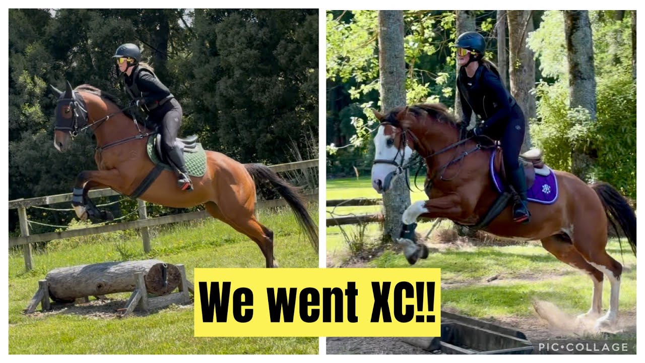 Наконец-то всё складывается! Уроки кросса с молодыми лошадьми // Видеоблог #12 (JT2☆E)