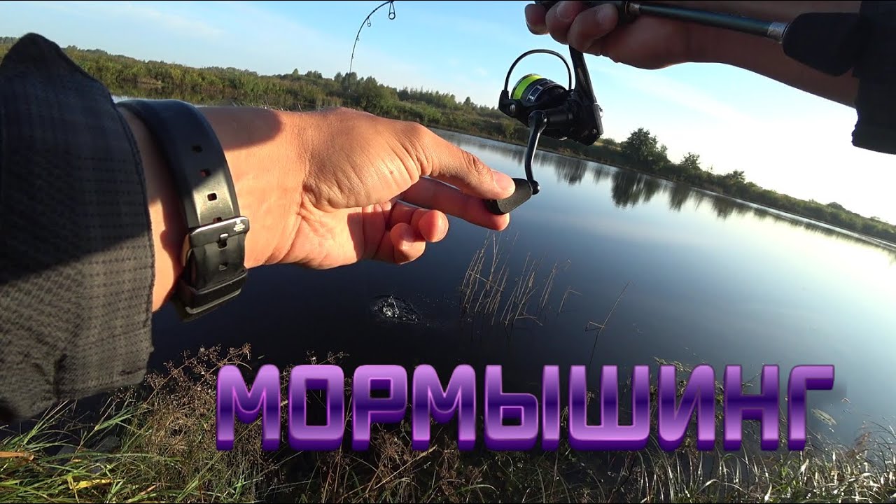 Утренний мормышинг DAYO PRESTIGE - YouTube