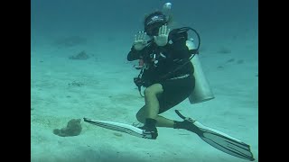 Cayman Brac - Lobster Pot Pt 5 - Snapper and TONS OF REEF FISH and SPOTTED EAGLE RAY!!