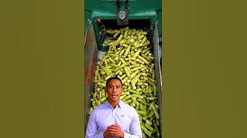 ⚽ feed pellet machine feeding animal different capacity #fcnfm #feedpelletmachine #feedpellet