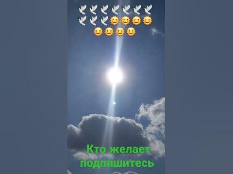 Раскудрявый клен зелёный лист резной - YouTube
