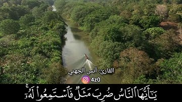 ❤🌿 تلاوة عذبة | يا أيها الناس ضُرِب مثل فاستمعوا له | أنس الجهني