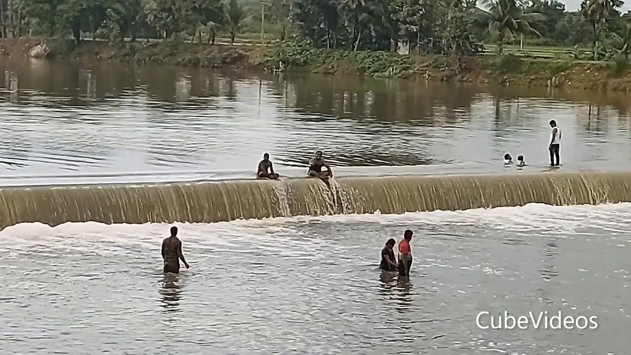 Cheyyaru River | செய்யாறு | தடுப்பணை | Aarani | Tiruvannamalai District