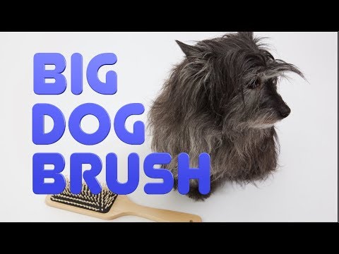 big dog brush