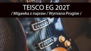 TEISCO EG 202 T / Wymiana Progów / Szlif / Setup / Konserwacja Elektroniki