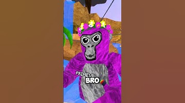 Answering Your Comments Part 9 #shorts #gorillatag #gtag