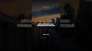 Сура 49. Аль-Худжурат (Комнаты) аят 12🧡 Тарик Мухаммад #quran #city #коран #город #люди #shorts