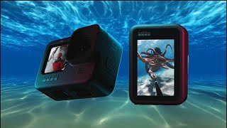 Underwater Tips | GoPro Hero 9