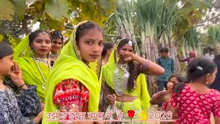 Indal Baba fair is being held in village Uzhod.🌴🌴🐯