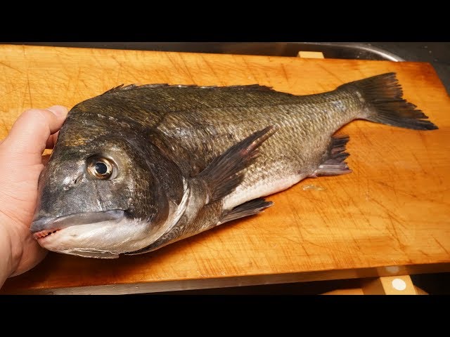 鯉 スズキ ボラは臭い じゃあ 洗い 洗鱠 で食べよう Prummy Angler 鯉 スズキ ボラは臭い じゃあ 洗い 洗鱠 で食べよう Prummy Angler