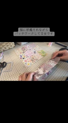 マツケン級の黄色どうなる!? #元野良猫 #パッチワーク