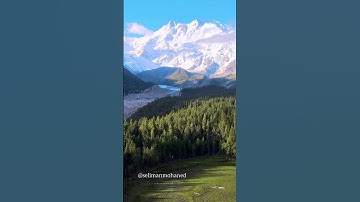 تلاوة رائعة من #سورة_غافر  #محمد_صديق_المنشاوي #المنشاوي #المنشاوي_الباكي #المنشاوي_قارئ_القلوب