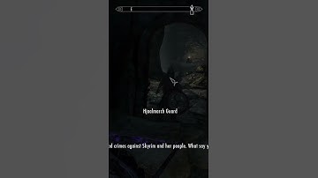 this guard followed me | Skyrim: The Elder Scrolls V #shorts