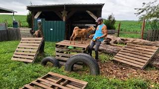 Goat Pen PLAYGROUND BUILD! _ Phase One! // Whitt Acres