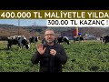 5 İNEKLE SAĞMAL PERAKENDE SÜT İŞİ KURMANIN MALİYETİ VE KAZANCI