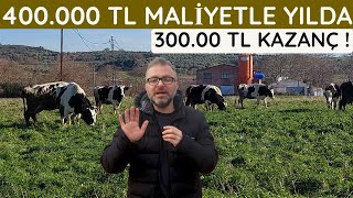 5 İNEKLE SAĞMAL PERAKENDE SÜT İŞİ KURMANIN MALİYETİ VE KAZANCI