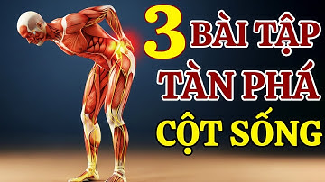 Bác Sĩ Cảnh Báo: 3 Bài Tập Buổi Sáng "Tàn Phá" Cột Sống Người Trên 60 (Dừng Ngay!)