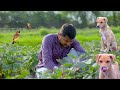 Indian rural life  delicious food and beautiful nature