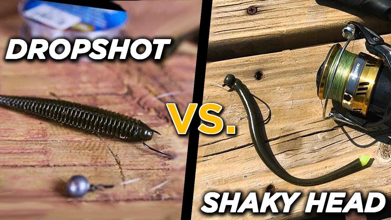 DROPSHOT vs. SHAKY HEAD  When To Use Each Finesse Fishing Rig 